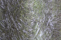 Llandeilo Graban fibreglass roof work